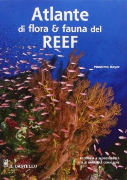 atlante di flora e fauna del reef