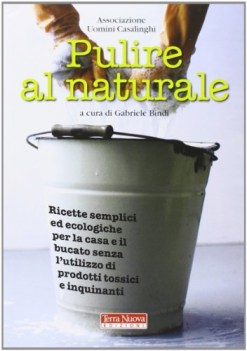 pulire al naturale ricette semplici ed ecologiche per la casa e il bucato senza