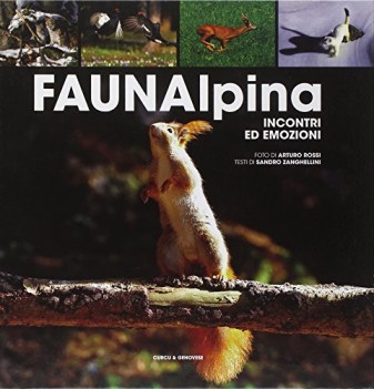 fauna alpina incontri ed emozioni