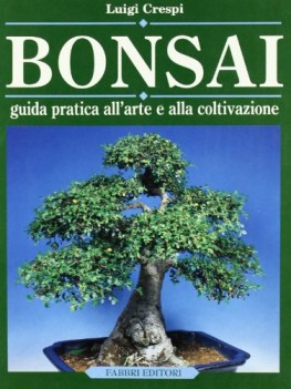 bonsai guida pratica all arte e alla coltivazione