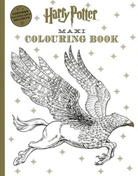 harry potter maxi colouring book