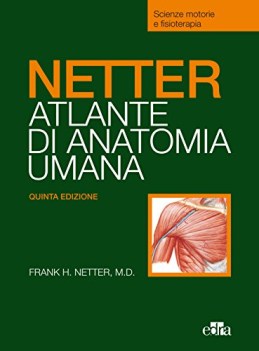 netter atlante anatomia umana tavole per scienze motorie e fisioterapi