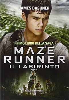 maze runner 1 il labirinto