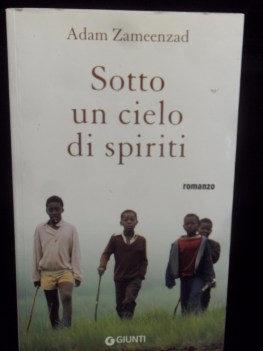 Sotto un cielo di spiriti. Romanzo