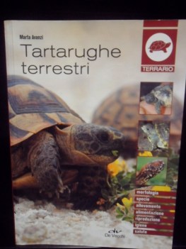 Tartarughe terrrestri.