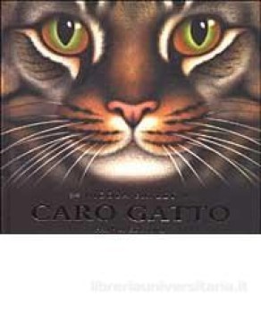 caro gatto