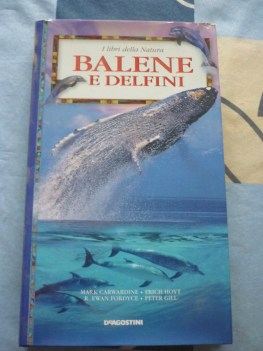 balene e delfini