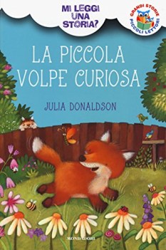 piccola volpe curiosa