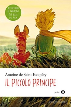 piccolo principe