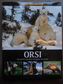 orsi