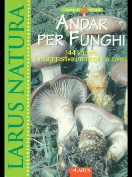 andar per funghi