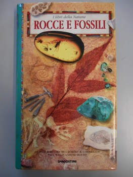 rocce e fossili