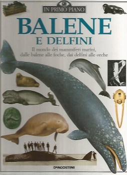 balene e delfini