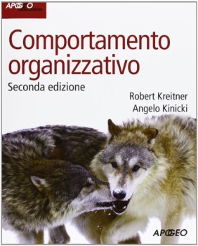 comportamento organizzativo