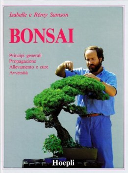 bonsai