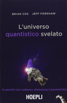 universo quantistico svelato