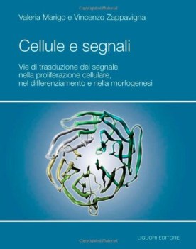 cellule e segnali