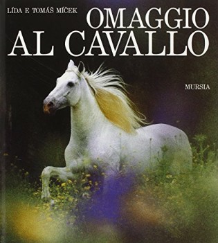 omaggio al cavallo