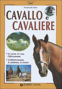 cavallo e cavaliere