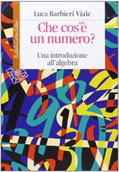 che cos\'e\' un numero? una introduzione all\'algebra