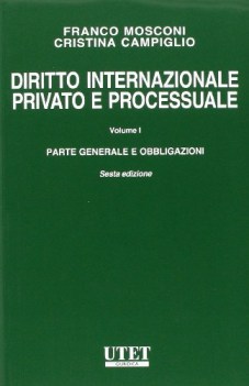 diritto internazionale privato e processuale vol 1