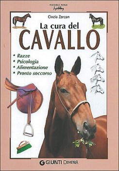 cura del cavallo