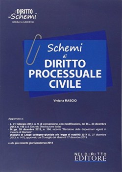 schemi di diritto processuale civile