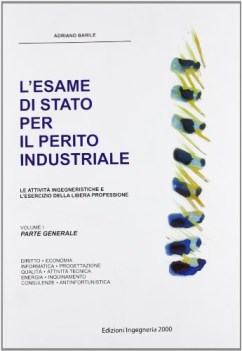 esame di stato per il perito industriale. attivit ingegneristiche