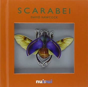 scarabei libro pop-up