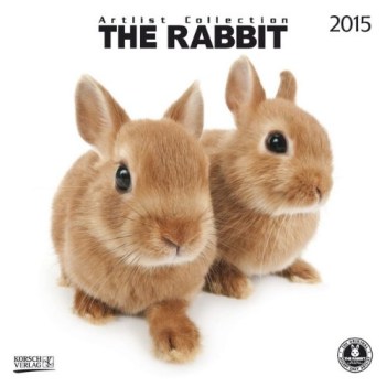 artlist collection the rabbit 2015