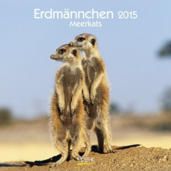 calendario 2015 meerkats