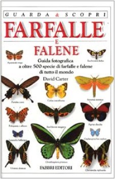 farfalle e falene