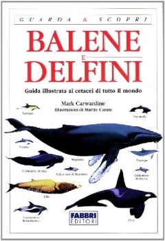 balene e delfini