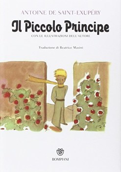 piccolo principe