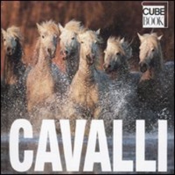 cavalli