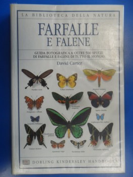 Farfalle e falene