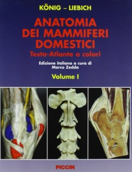 anatomia dei mammiferi domestici (SOLO il volume 2)