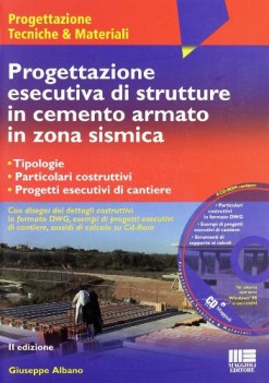 progettazione esecutiva di strutture in cemento armato in zona sismica