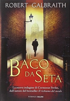 baco da seta