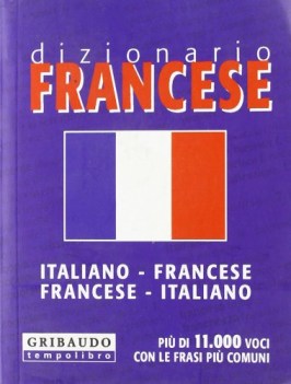 dizionario francese tascabile