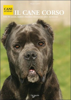 cane corso