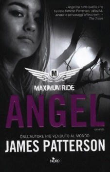 angel maximum ride