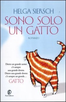 sono solo un gatto