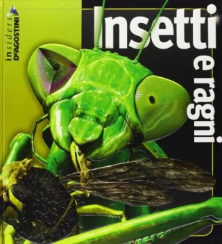 insetti e ragni