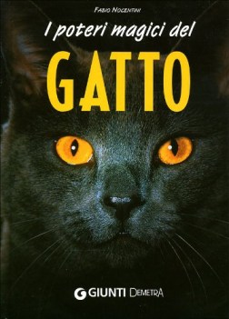 poteri magici del gatto