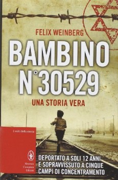 bambino n.30529