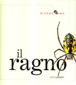 ragno