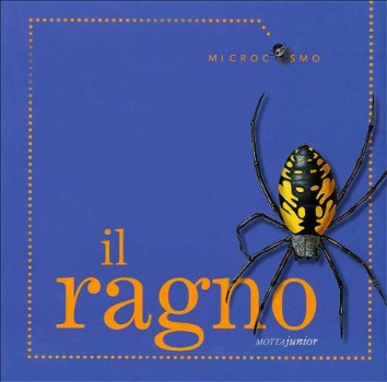 ragno