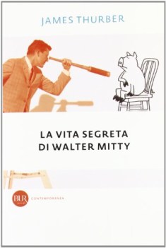 vita segreta di walter mitty