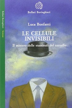 cellule invisibili. il mistero delle staminali del cervello